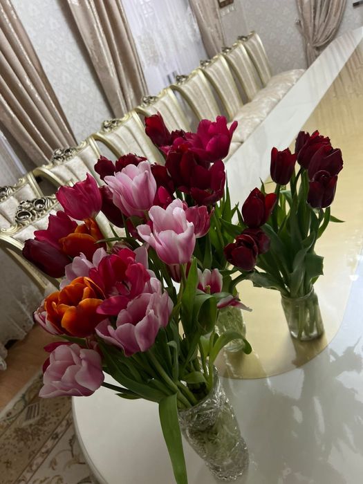 Тюльпаныыы. Арзан бағада