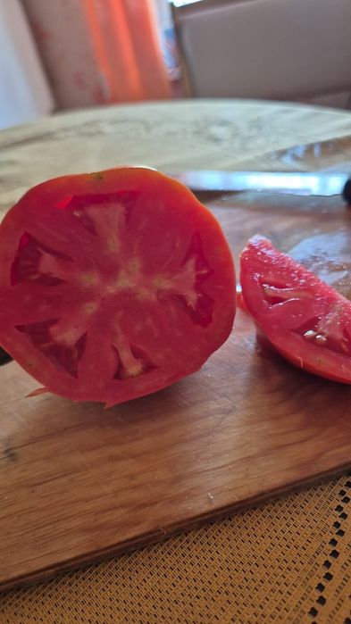 Продам дачные помидоры