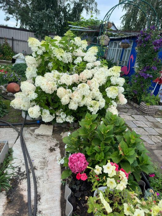 Дачный участок в СО «Энергетик»