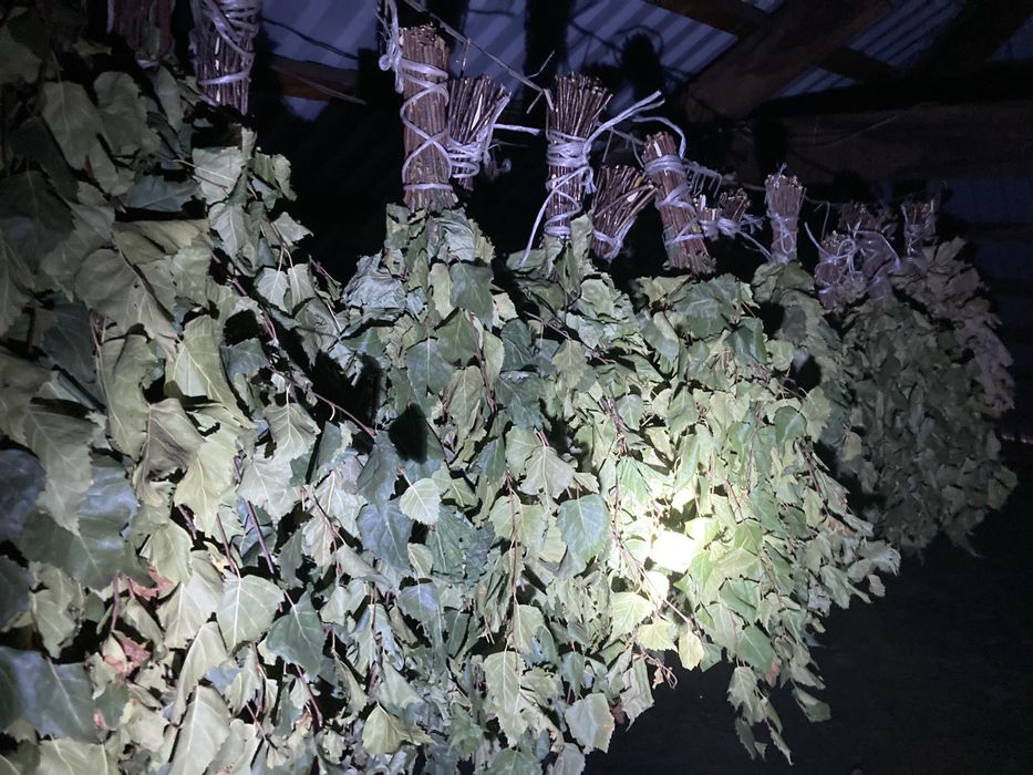 Веники березовые