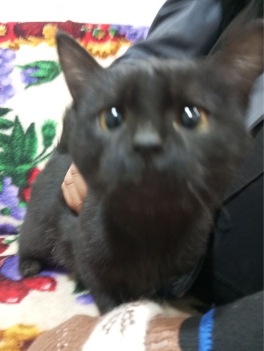 Девочка очень ждет свою семью!