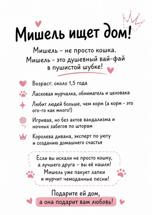 Кошечка Мишель ищет дом