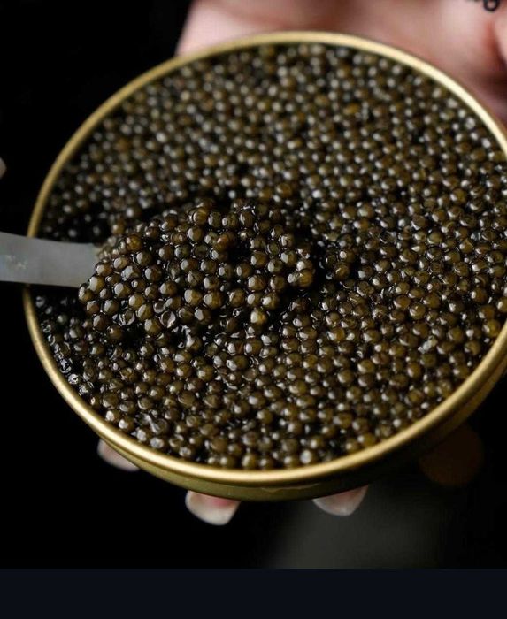 Черная Икра Астрахань