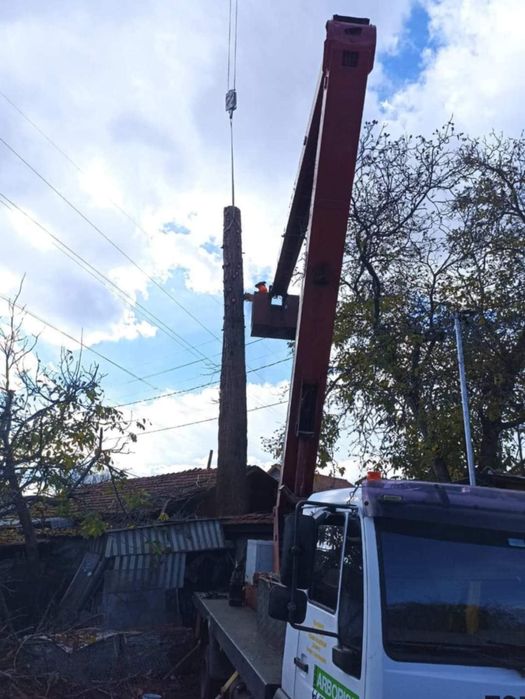 Рязане на опасни дървета по алпийски способ и автовишка
