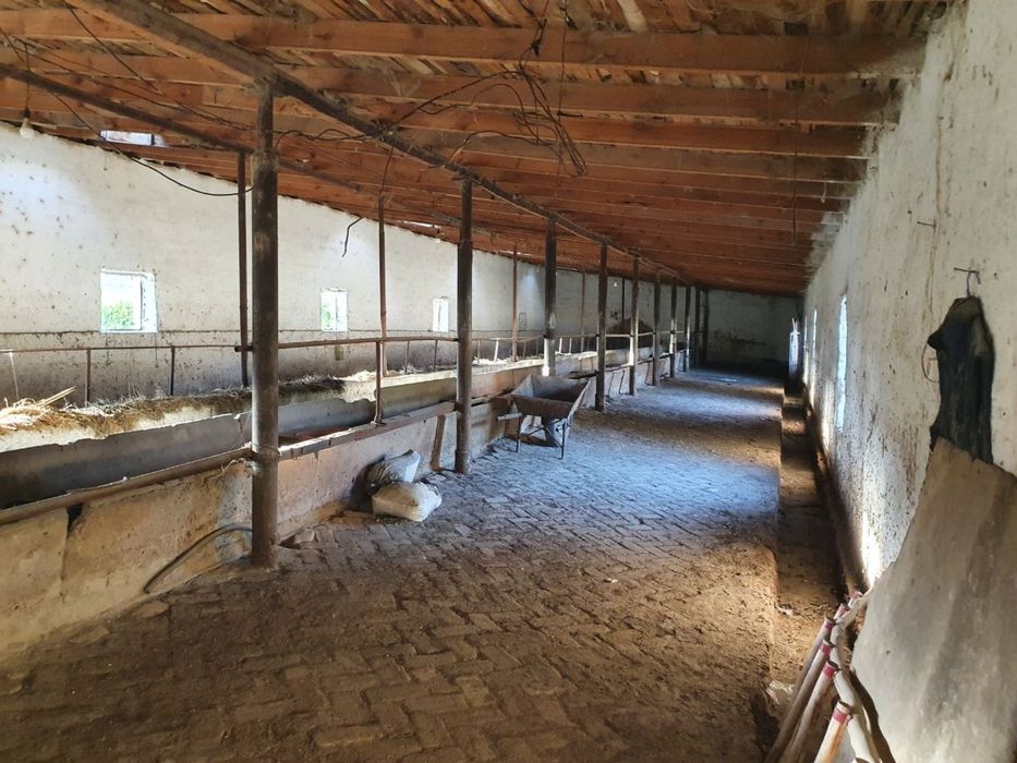 Molxona , ferma sotiladi