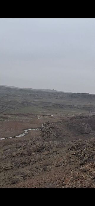 Фазенда сатылады  1600га