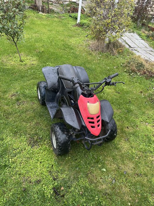 Детско АТВ 110cc