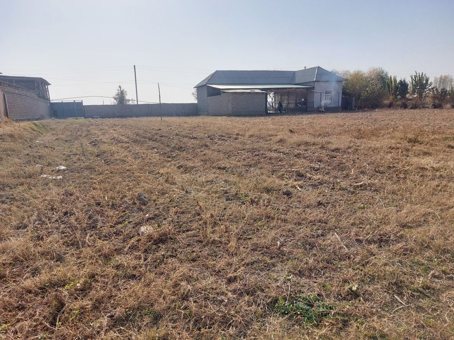 Текс участка сотиляпти.8.сотх