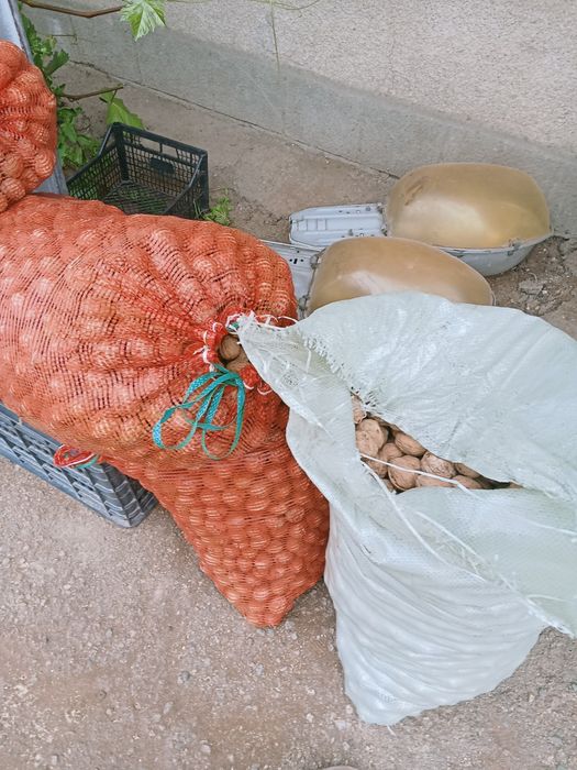 Орехи грецкие свои