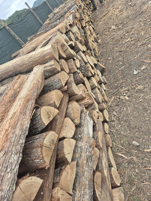 Lemne de foc de cea mai buna calitate Uscate