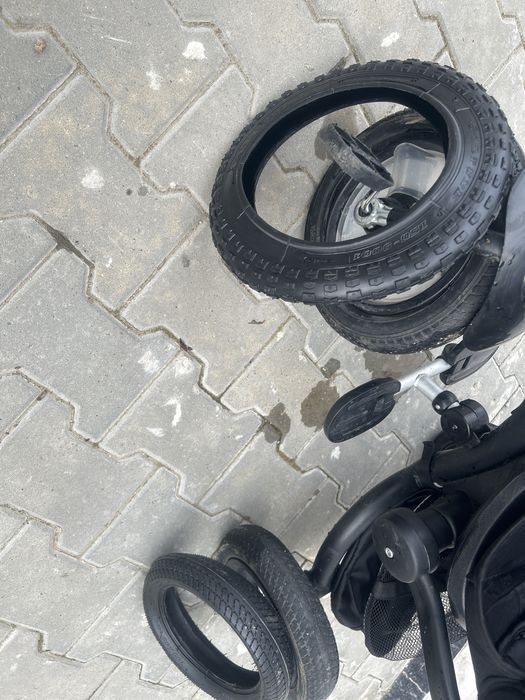 Chipolino триколка