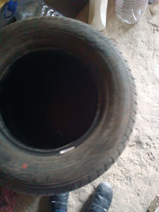 Янги балон дамас радной