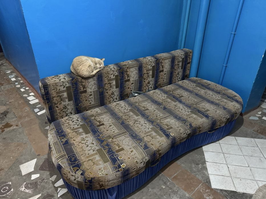 самовывоз бесплатно