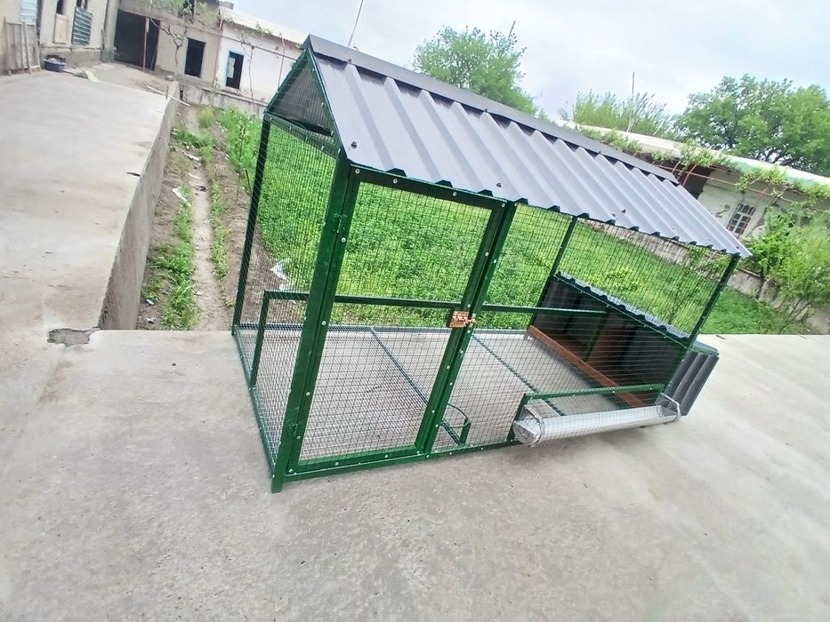 Tovuq katak zakazga