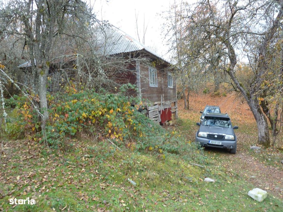 Casă + 4,4 ha (arabil, pășune, pădure), Scărișoara, Alba