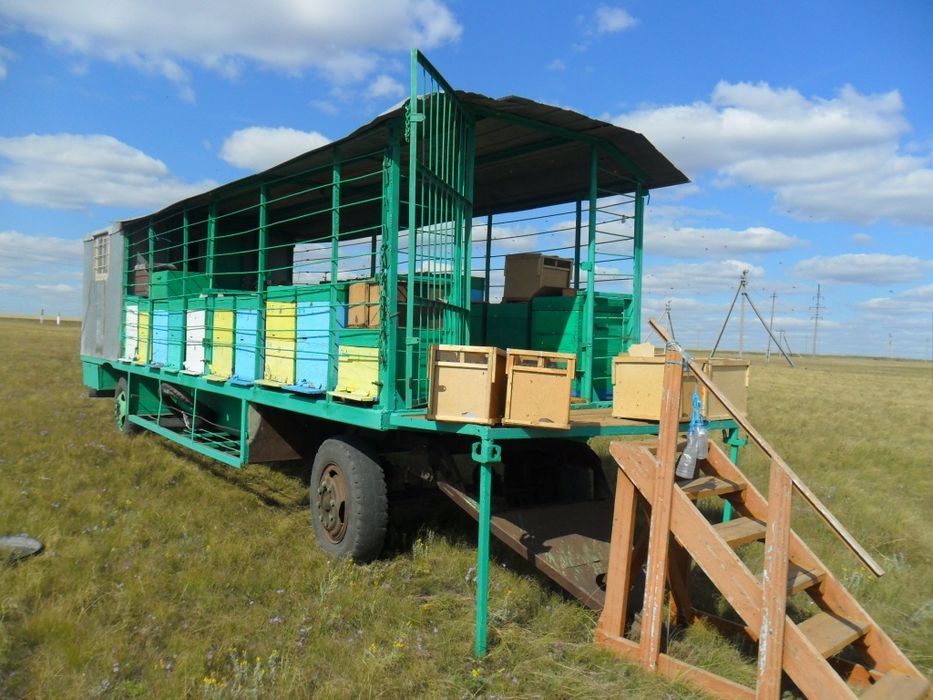 Пчелопавильон. Прицеп для пчёл.  Улья