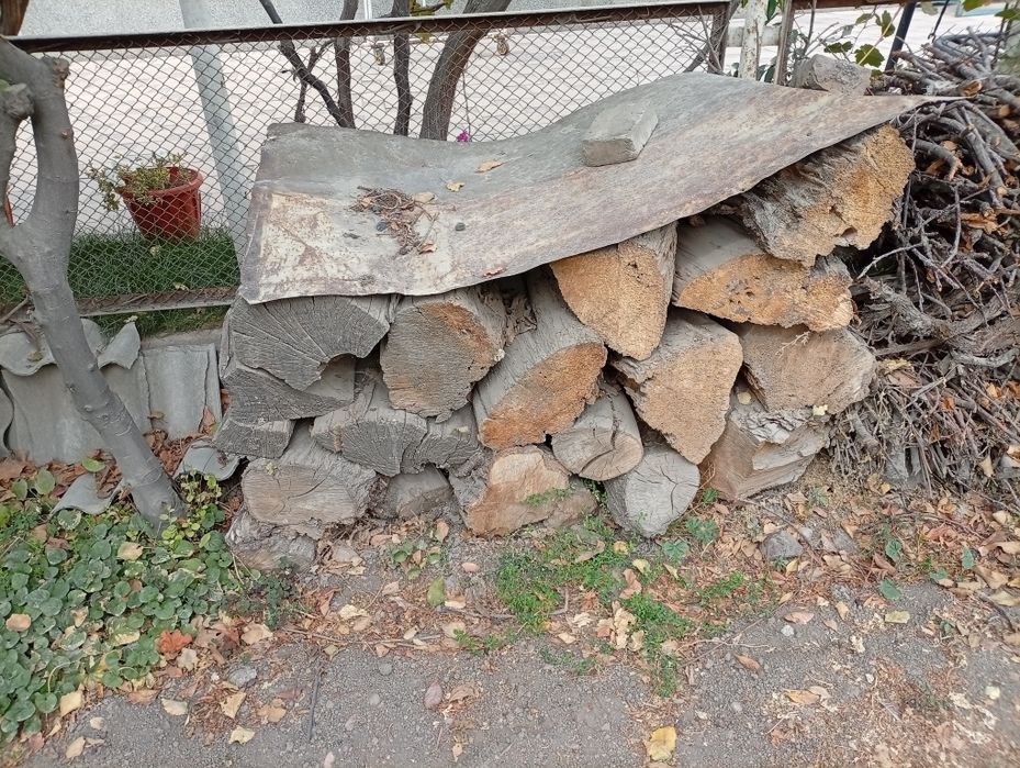 Ўтинлар сотилади ҳар ҳил.