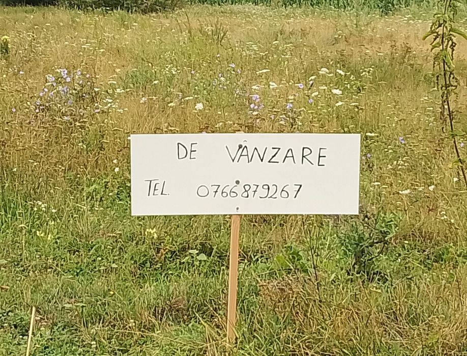 Teren mixt intravilan,extravilan