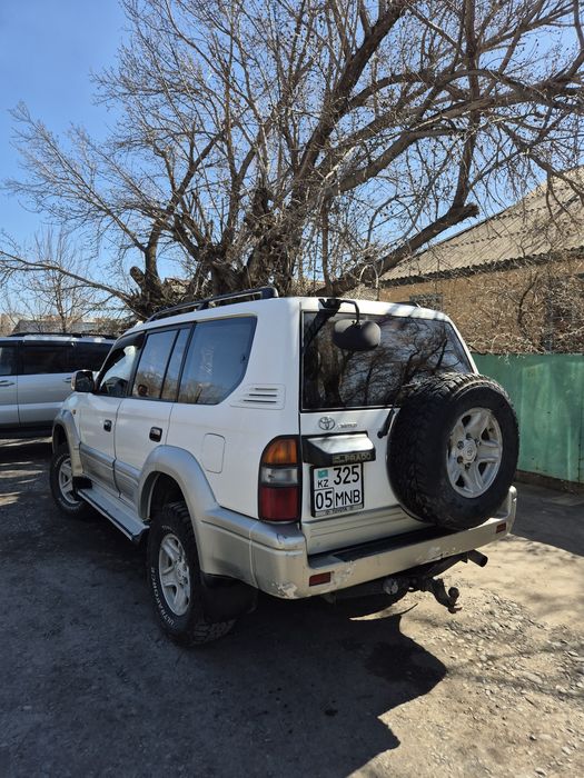 Прадо 95 prado tlcp