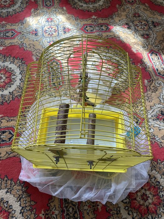 Клетка для попугая