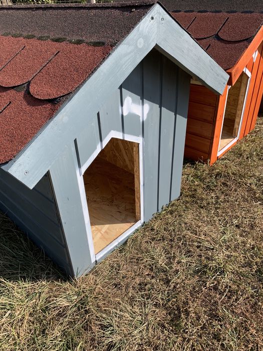 Cusca câine izolata