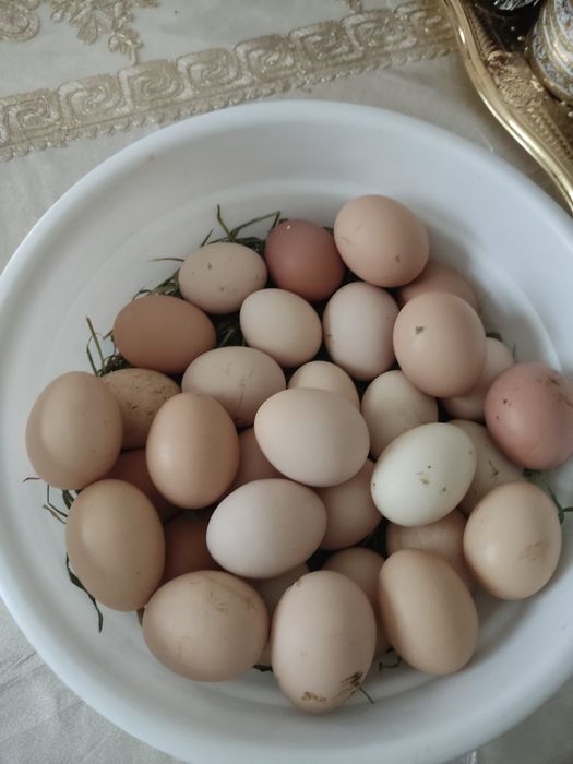 Politsiya qizni juda shahvoniy tarzda taqib qilmoqda.