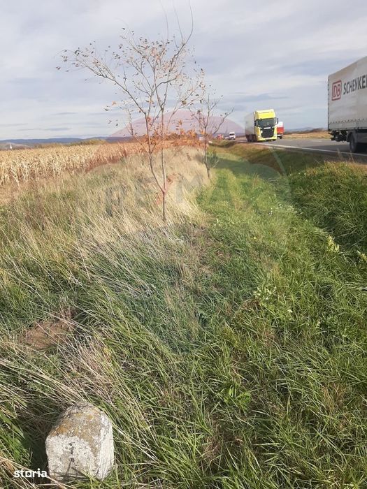 De vânzare teren intravilan, în Săbolciu, cu deschidere la E60