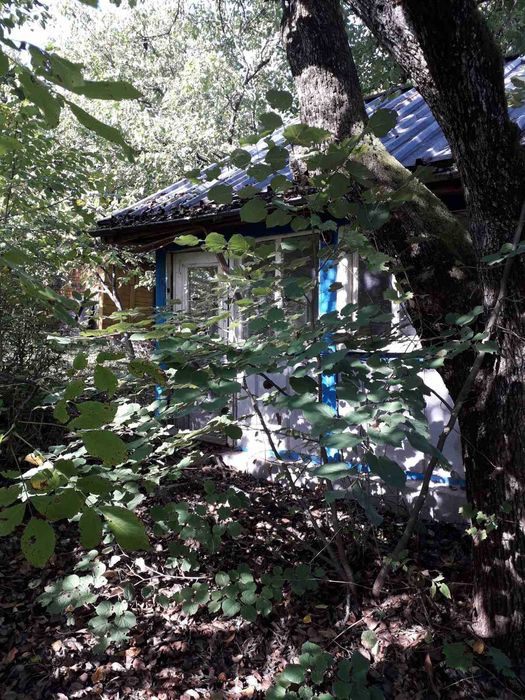 Продава се Земеделски имот в Враца, Вежен -  кв.м за 12750 €/дка - Снимка #2