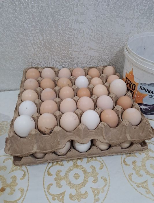 Продается натуральное домашнее яйцо