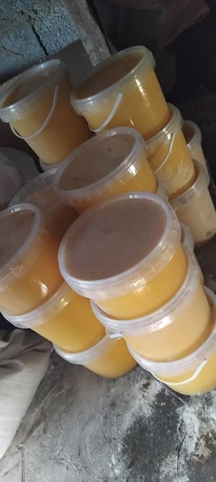 Продаётся Алтайский Мед.