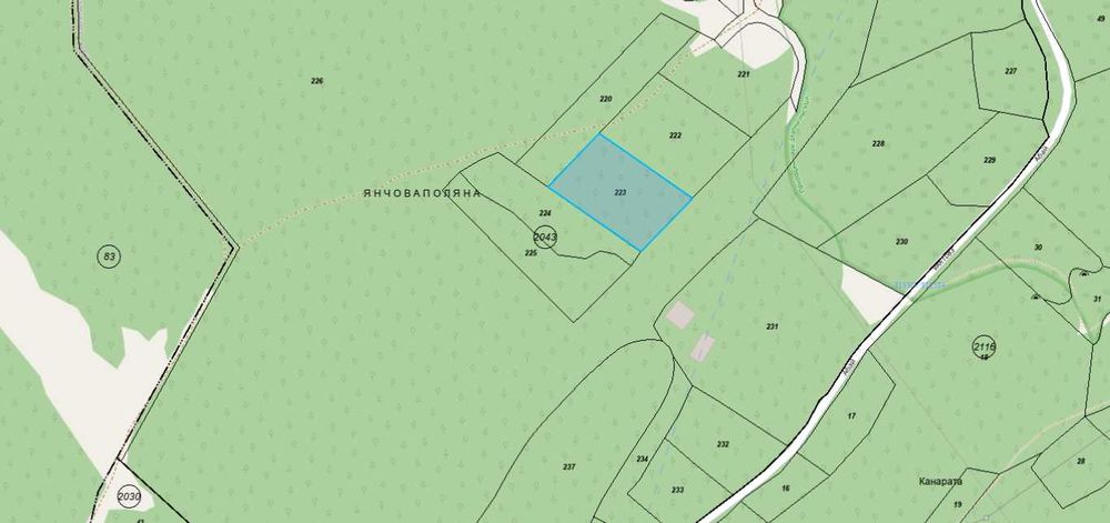 Иглолистна гора Виница