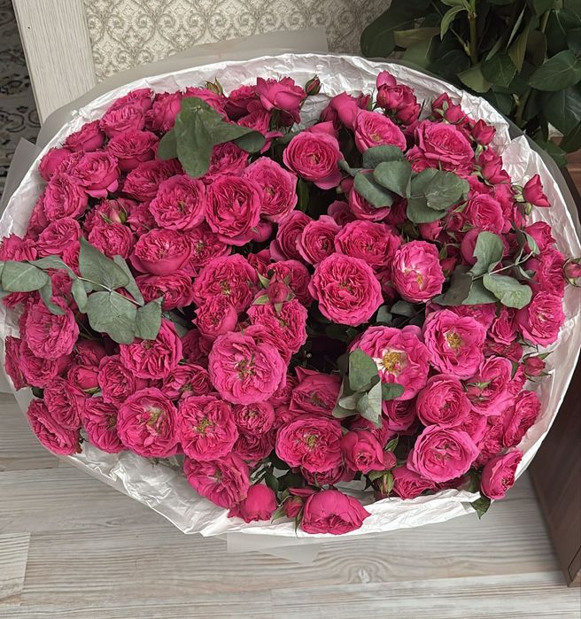 Продам  цветы...