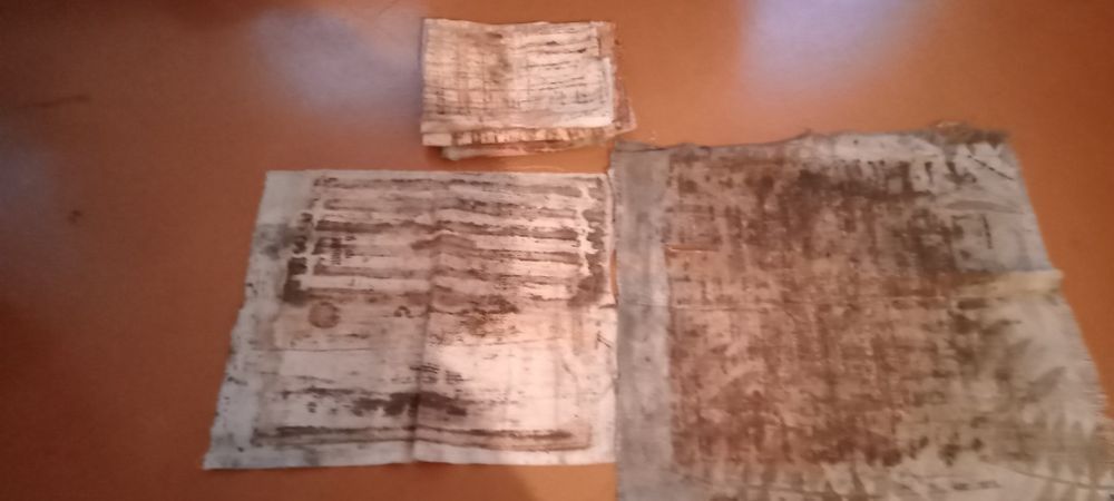 Всё для пчеловодства