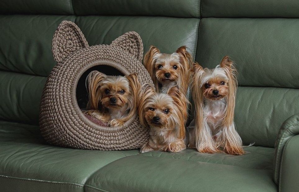 Домик для питомцев, весом  5-12 кг