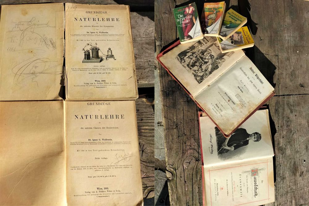 Carti germane vechi, de colectie 1800-1900