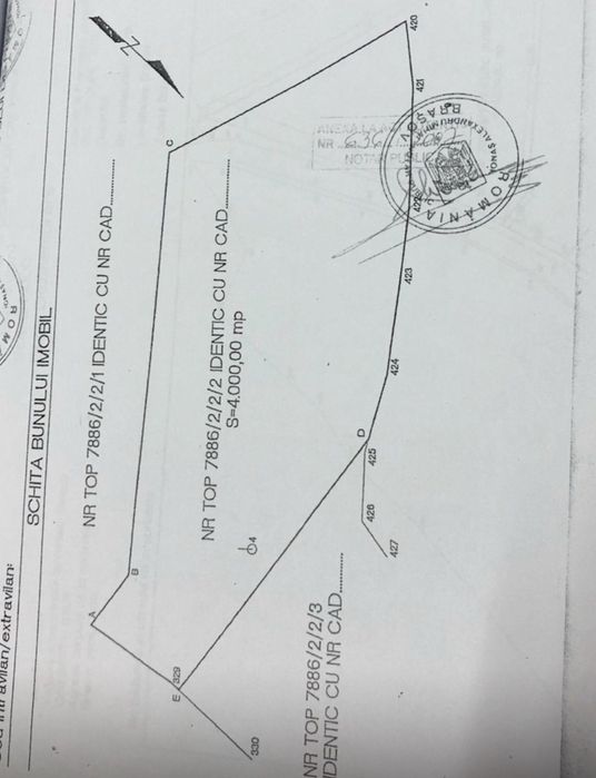 Teren munte ! Cheile  Rasnoavei