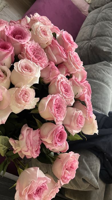 розывые метровые розы