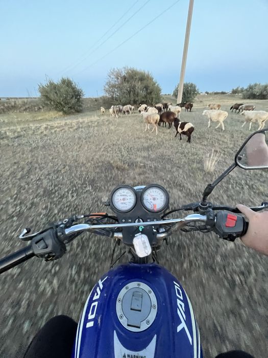 Продам яки 200 куб