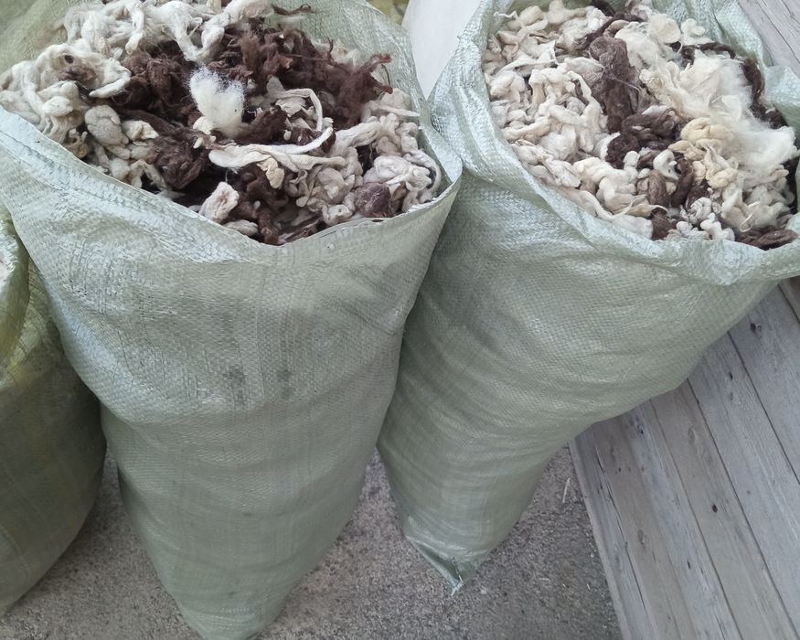 Продам Пух перья и шерсть овечья