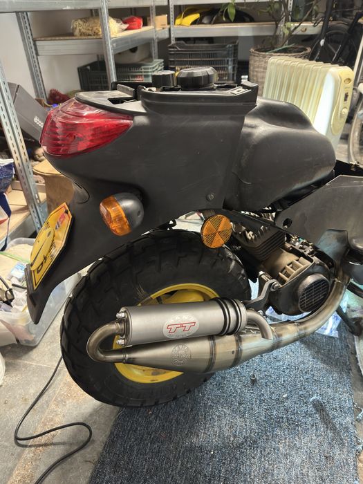 Vand sau schimb peugeot squab