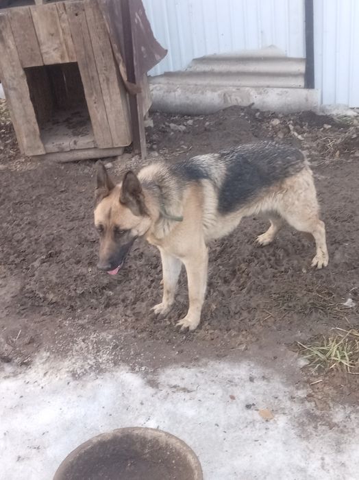 Продам Продам Продам