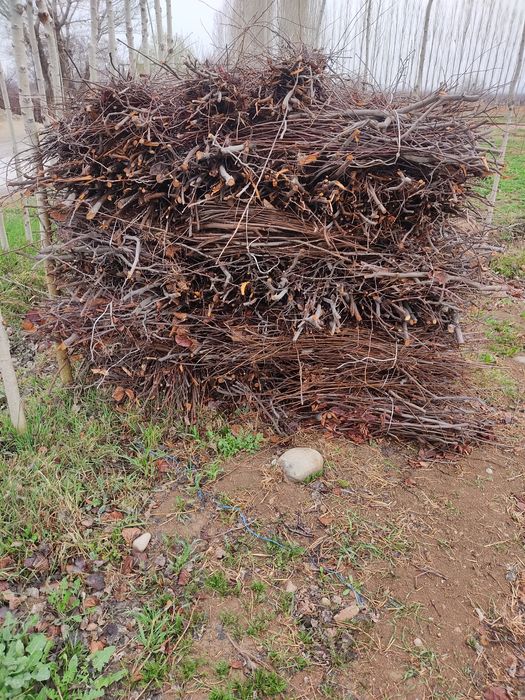 Утинлар сотилади срочно.