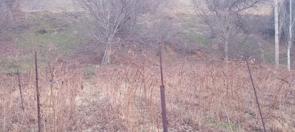 Участка сотилади Бостонлик да