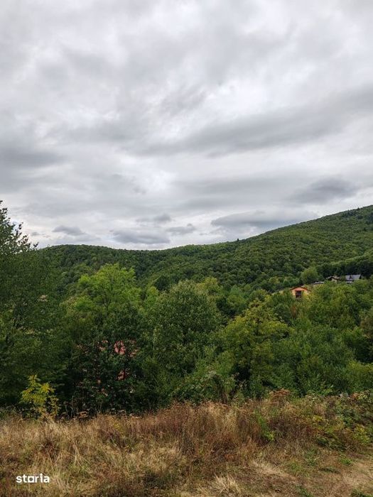Teren 64 ari in Ulmoasa – investitie turistica, panorama spre padure