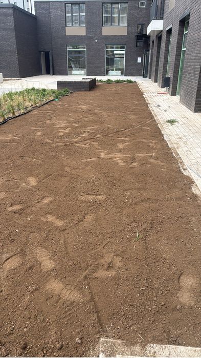 Посев газона от 1500