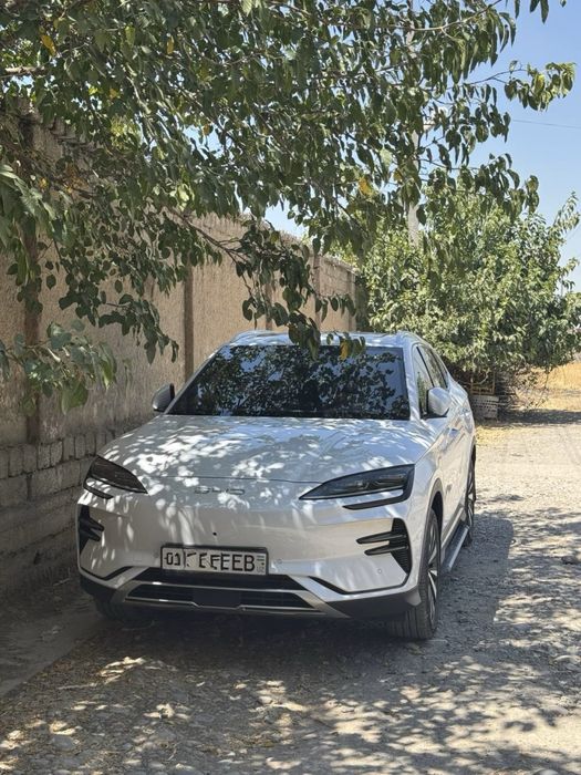 BYD Song Plus EV Champion 2024