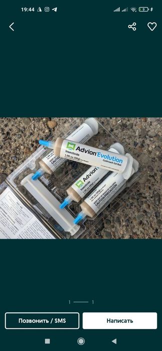 Tarakan dori, Таракан дори