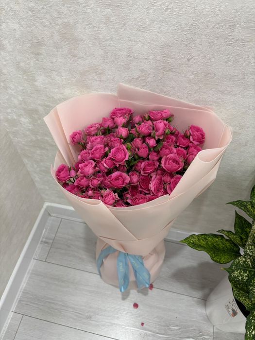Роза гулдер сатылады