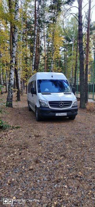 Пассажирские перевозки