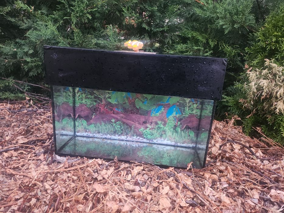 Vand Acvariu stare buna cu capac cu următoarea dimensiune 46X24X21